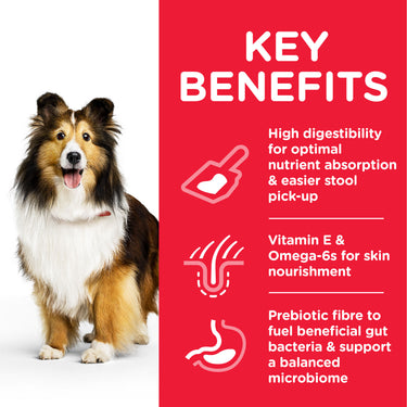 Hill’s Science Plan Sensitive Stomach & Skin Medium Adult Dog Food With Chicken (2.5kg)